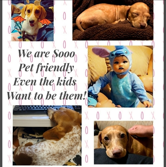 Meet your Posher, DejaVuTique - Picture 3 of 3